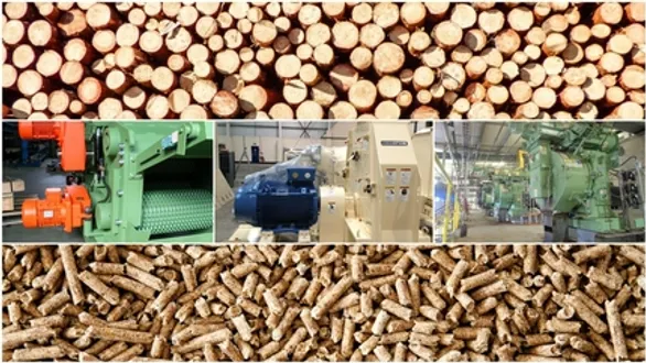 Wood Pelleting Plant for Pine Wood and all kind of imported hard wood