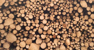 Wood & Biomass Pelleting